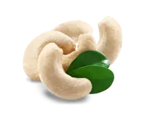 Cashew Nut - nut - PNG Images