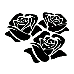 Three Roses - rose - Transparent Background PNG
