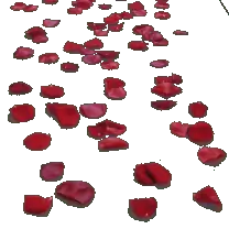 Rose Petals - romantic - Lossless PNG