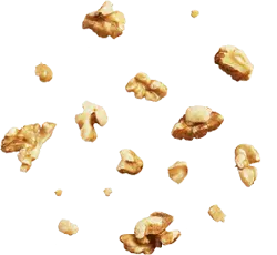 Walnut Kernel - nut - Popular Download PNG