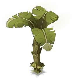 Banana Tree - green - fruit - PNG Images
