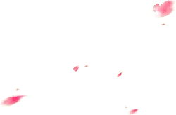 Pink Petals Falling - PNG - pink