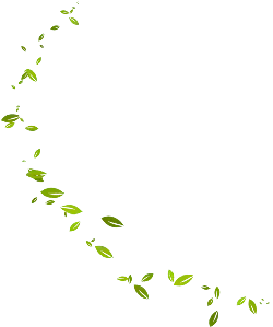 Leaves Falling - background - Designer Recommended PNG