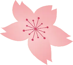 Transparent Layer PNG - flower - Cherry Blossom