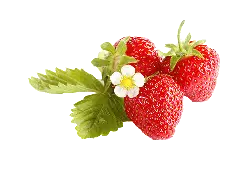 Strawberry - No Background PNG - Designer's Pick PNG