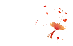 Red Petals Falling - petal - No Watermark PNG