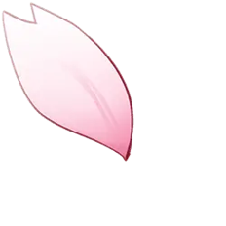 Cherry Blossom Petal - Transparent Background PNG