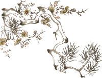 Plum Blossom - traditional - Designer's Pick PNG