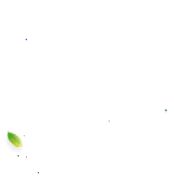 Confetti - holiday - No Watermark PNG