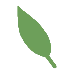 Leaf - Free PNG - Curated PNG