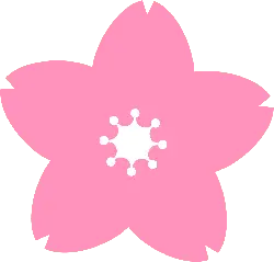 Cherry Blossom - PNG - Trending PNG