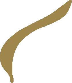 Brown Curve - line - PNG