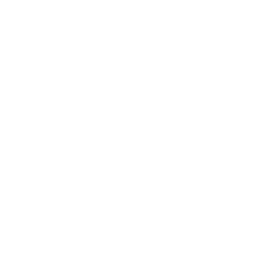 Water Splash - liquid - Free Download PNG