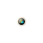 Globe - science - High Resolution PNG
