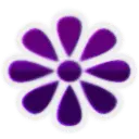 Purple Flower - petal - purple - High Resolution PNG