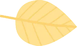 Leaf - Free PNG - Transparent Background PNG