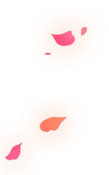 Pink Petals - glow - Transparent Background PNG