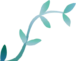 Vine - nature - PNG Images