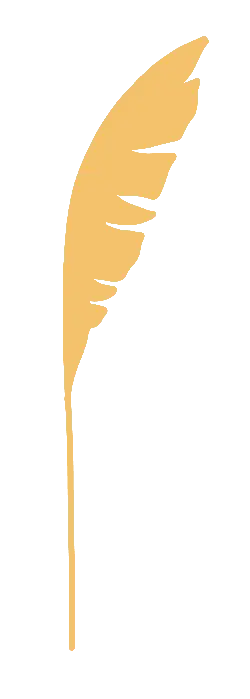 Feather - decorative - Highly Rated PNG