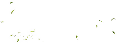 Flying Leaves - leaves - Lossless PNG