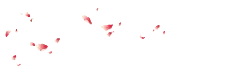 Pink Petals Falling - fall - Recommended PNG