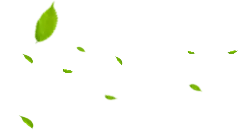 Falling Leaves - green - PNG Images