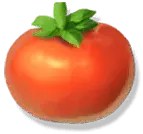 Tomato - circular - Trending PNG
