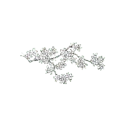 Plum Blossom Branch - simple - black and white - Lossless PNG