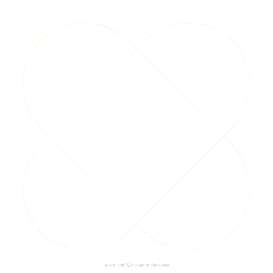 Four Petals Flower - line - No Background PNG