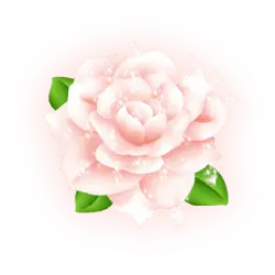 Pink Rose - Designer Recommended PNG - Designer's Pick PNG