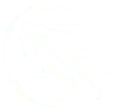 Runner - outline - High Resolution PNG