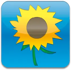 Sunflower - High Resolution PNG - plant