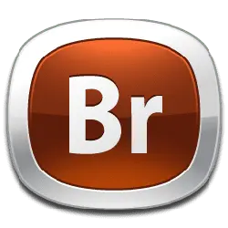 Br - logo - Free Download PNG