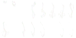 Abstract Shapes - Curated PNG
