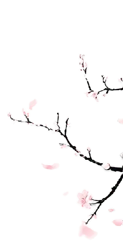 Plum Blossom - Designer Recommended PNG