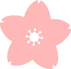 Cherry Blossom - No Background PNG - spring