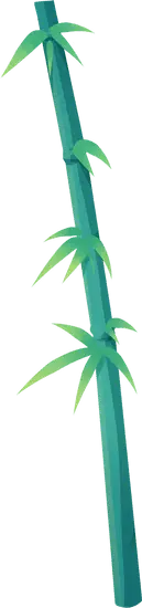 Bamboo - nature - stem - High Resolution PNG
