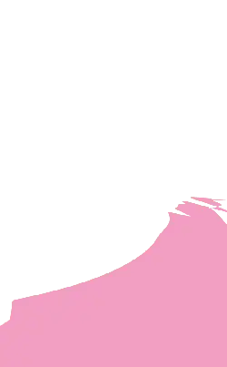 Abstract Artwork - Recommended PNG - pink