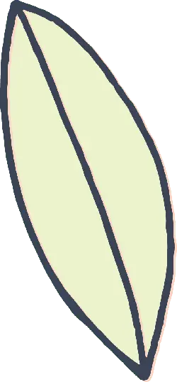 Leaf - shape - Transparent Background PNG