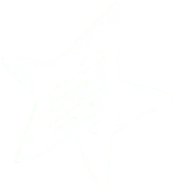 Abstract Star Shape - minimalist style - Transparent Background PNG
