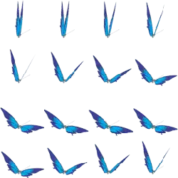 Butterfly - symmetrical - insect - Transparent Background PNG