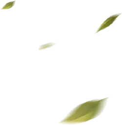 Leaves Falling - falling - Fast Download PNG
