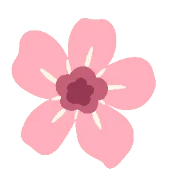 Pink Flower - simple - Trending PNG