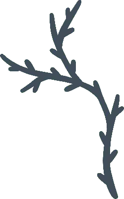 Branch - growth - shoot - Transparent Layer PNG