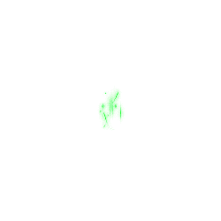 Four Leaf Clover - leaves - No Watermark PNG