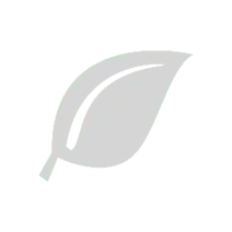 Leaf - High Download Count PNG - environmental protection