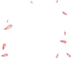 Pink Petals Falling - Lossless PNG - background