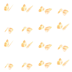 Butterfly - Free Download PNG - High Resolution PNG