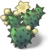 Cactus Flower - Highly Rated PNG