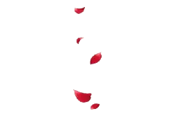 Red Petals - nature - Fast Download PNG